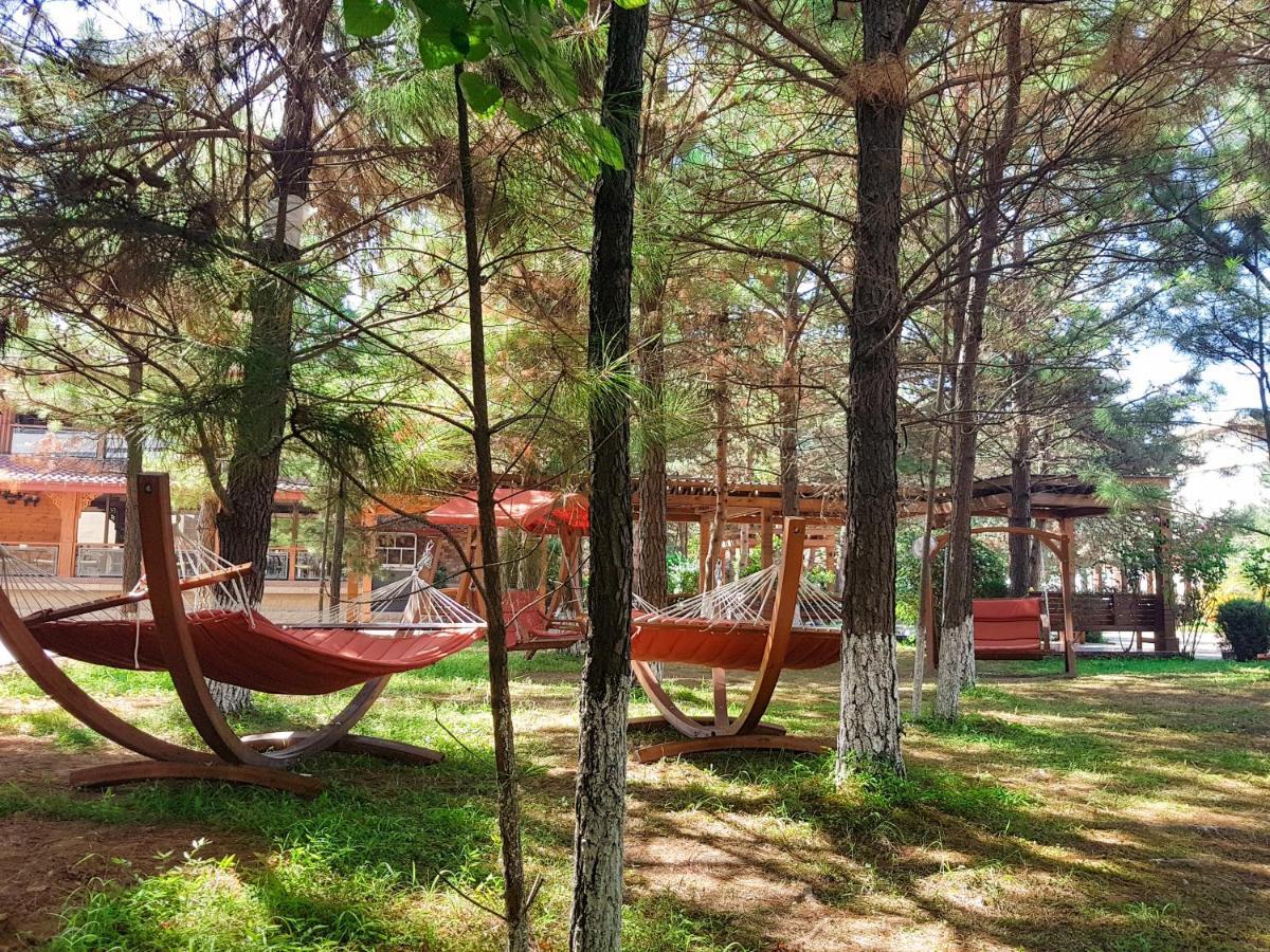 Luxury Dreamland Oasis * Chakvi